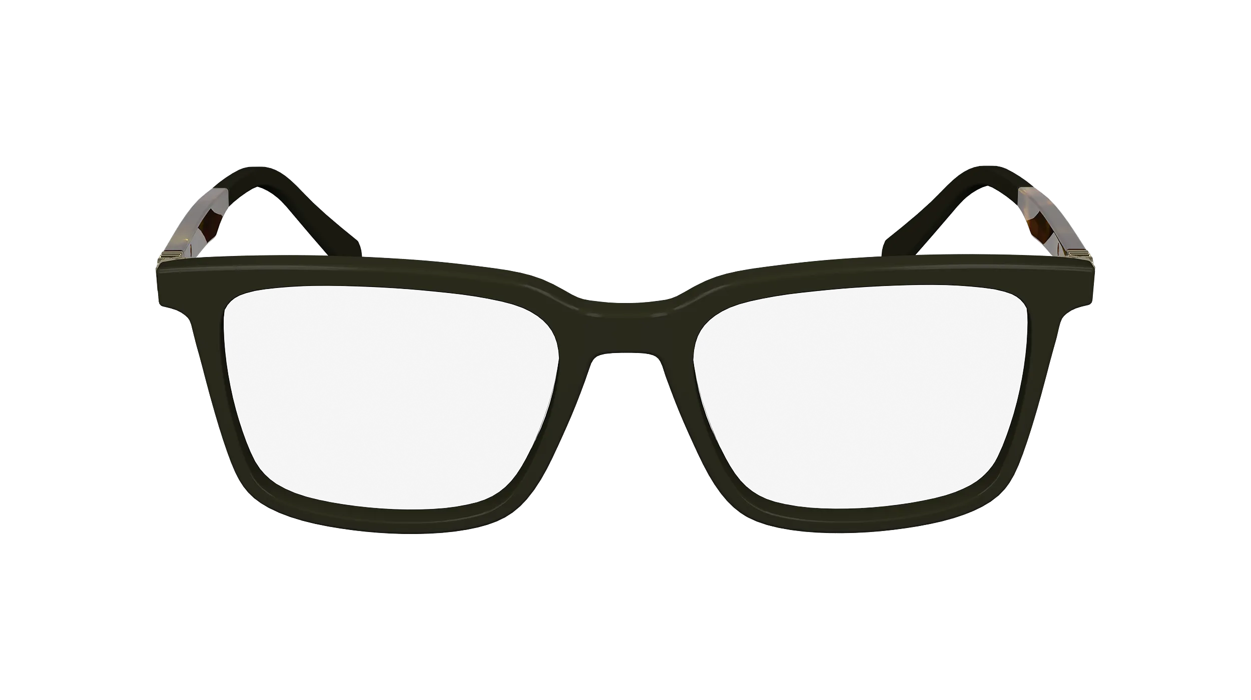 Ferragamo SF2969 302